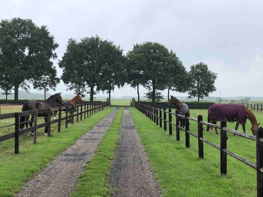 Linderhuisje, Rust, Ruimte, Privacy En Natuur Exterior photo