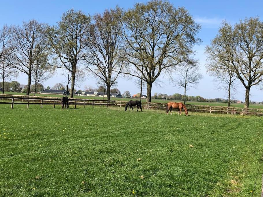 Linderhuisje, Rust, Ruimte, Privacy En Natuur Exterior photo